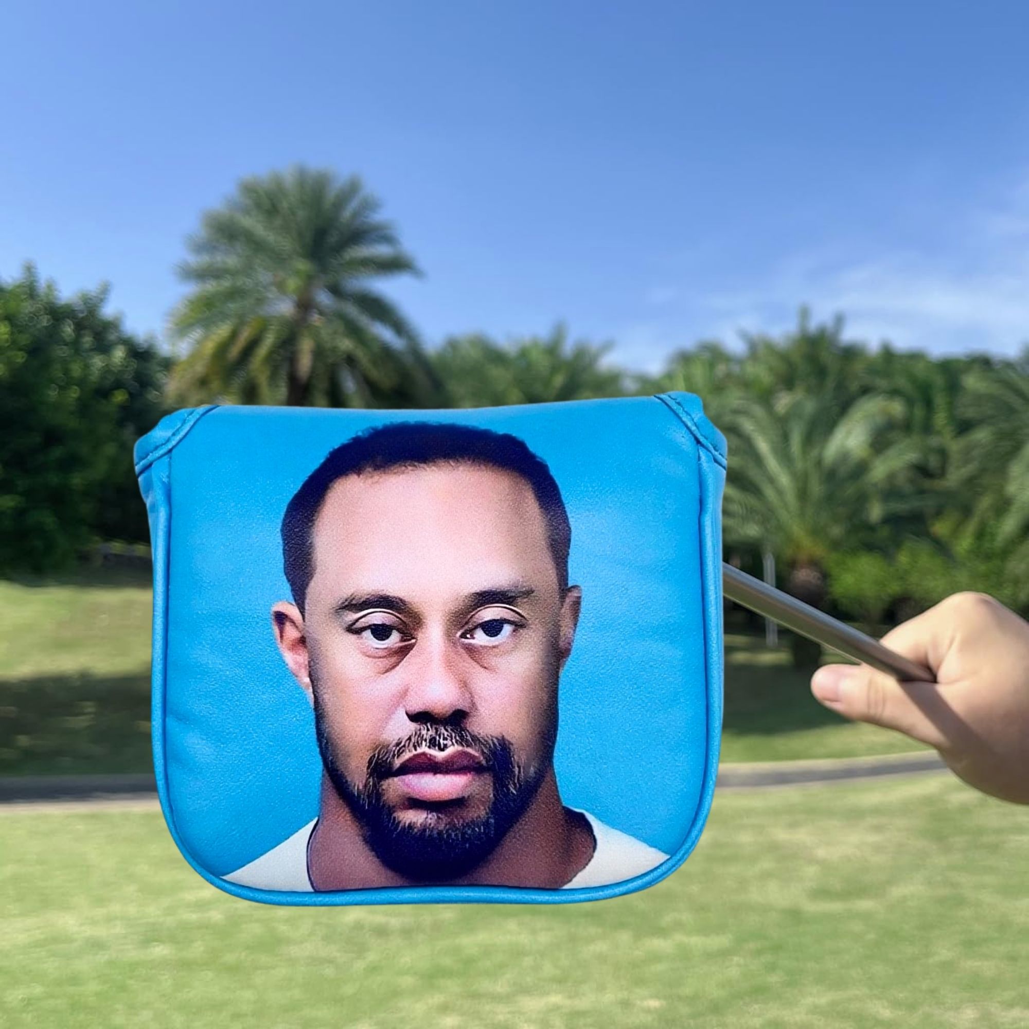 Couvre-tête de putter de maill - Men'S Accessories Golf avis et prix